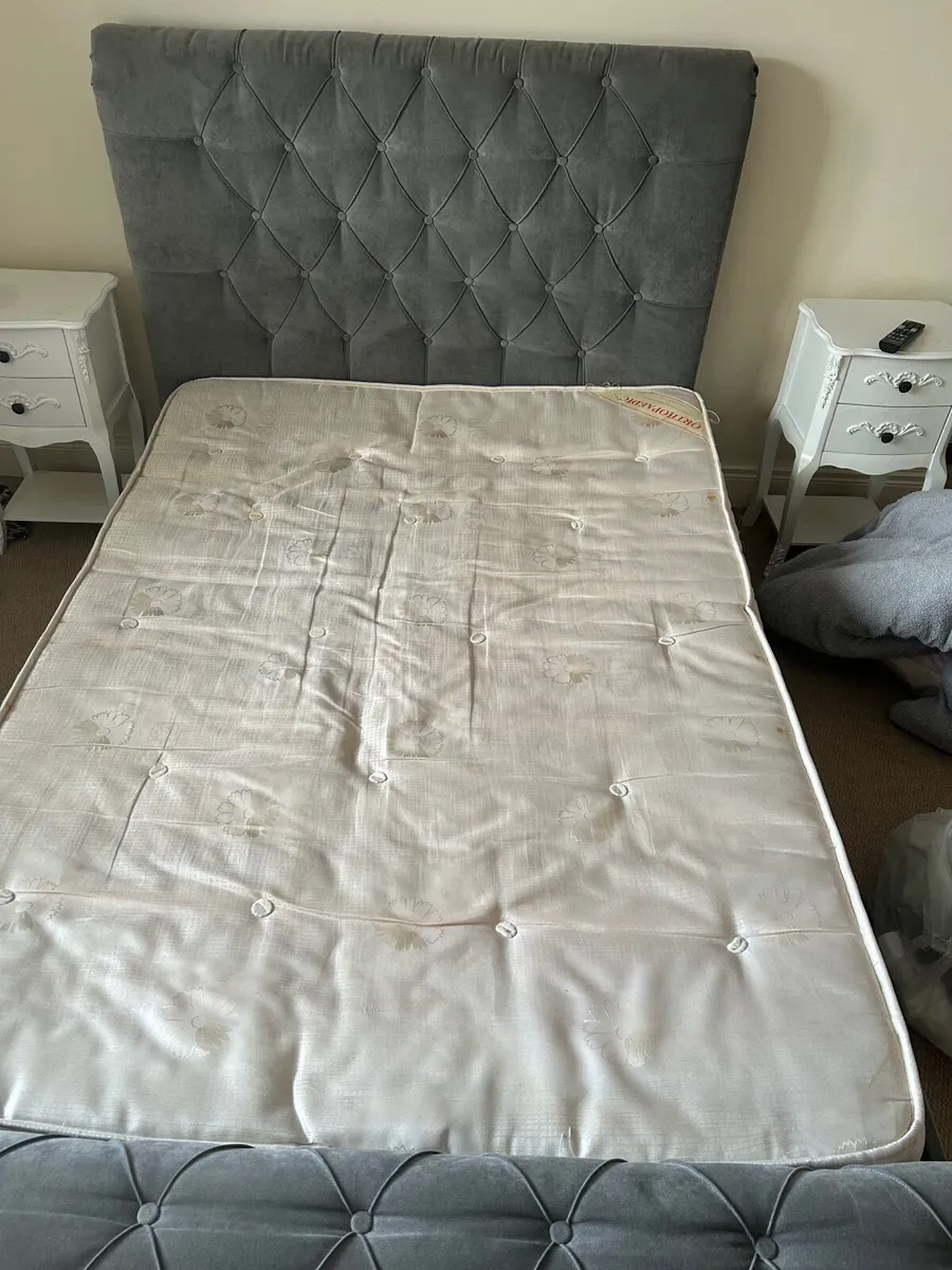 Grey Velvet Double Bed - Image 3