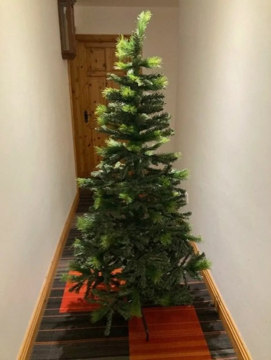 6 ft Ontario Christmas Trees - Image 1