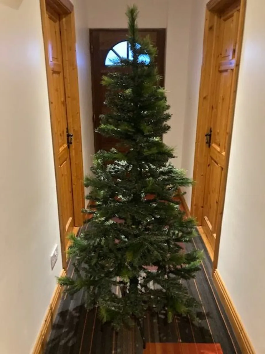 6 ft Ontario Christmas Trees - Image 2