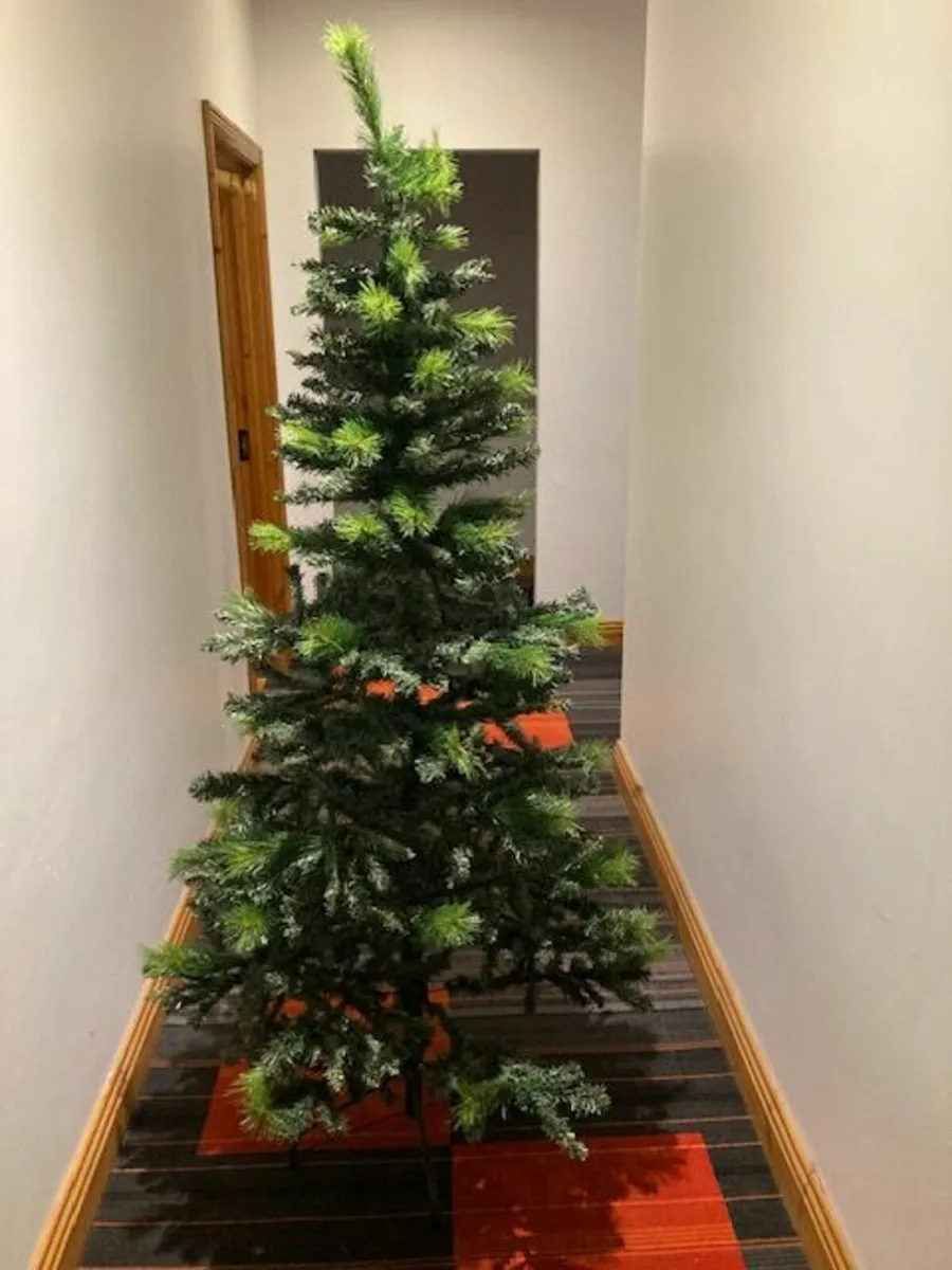 6 ft Ontario Christmas Trees - Image 3