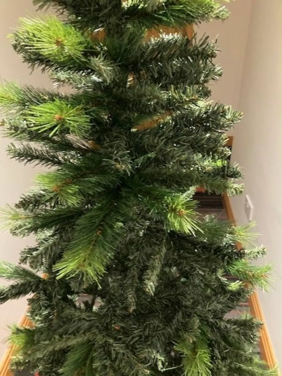 6 ft Ontario Christmas Trees - Image 4