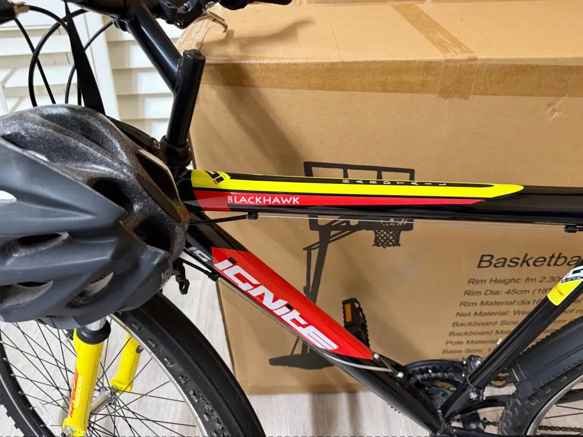 Adult Male bicycle. - Image 2