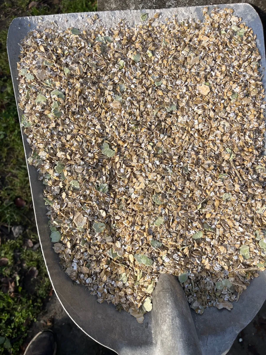 Organic Barley and Peas combicrop - Image 4