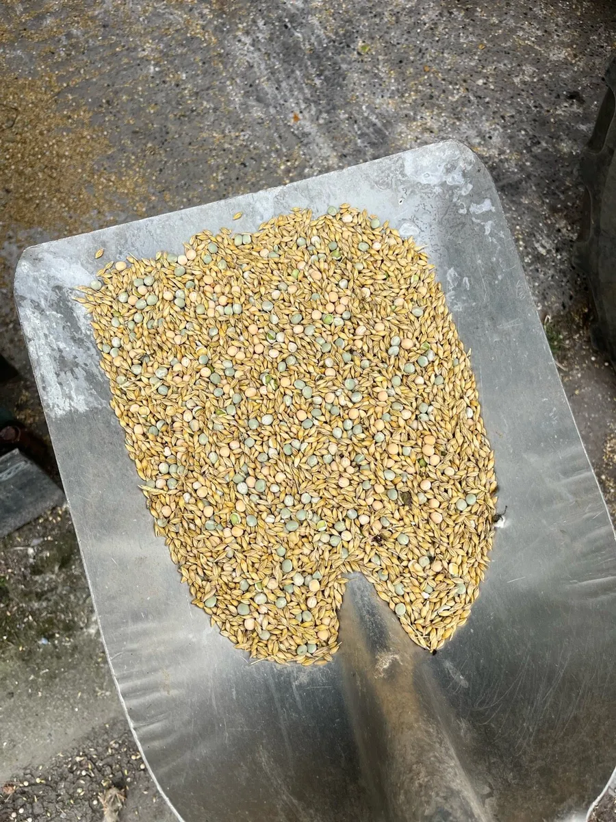 Organic Barley and Peas combicrop - Image 1