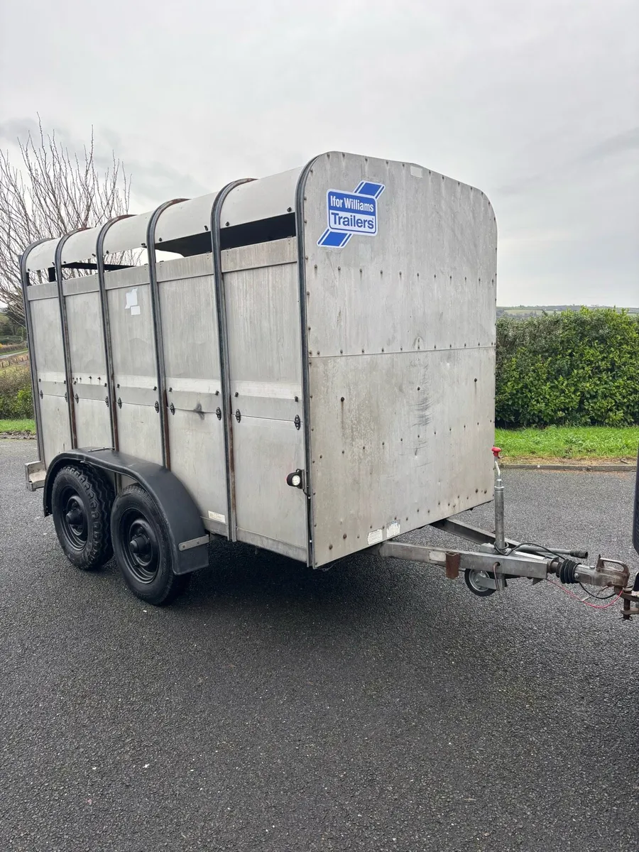 10x5 ifor Williams cattle box - Image 1