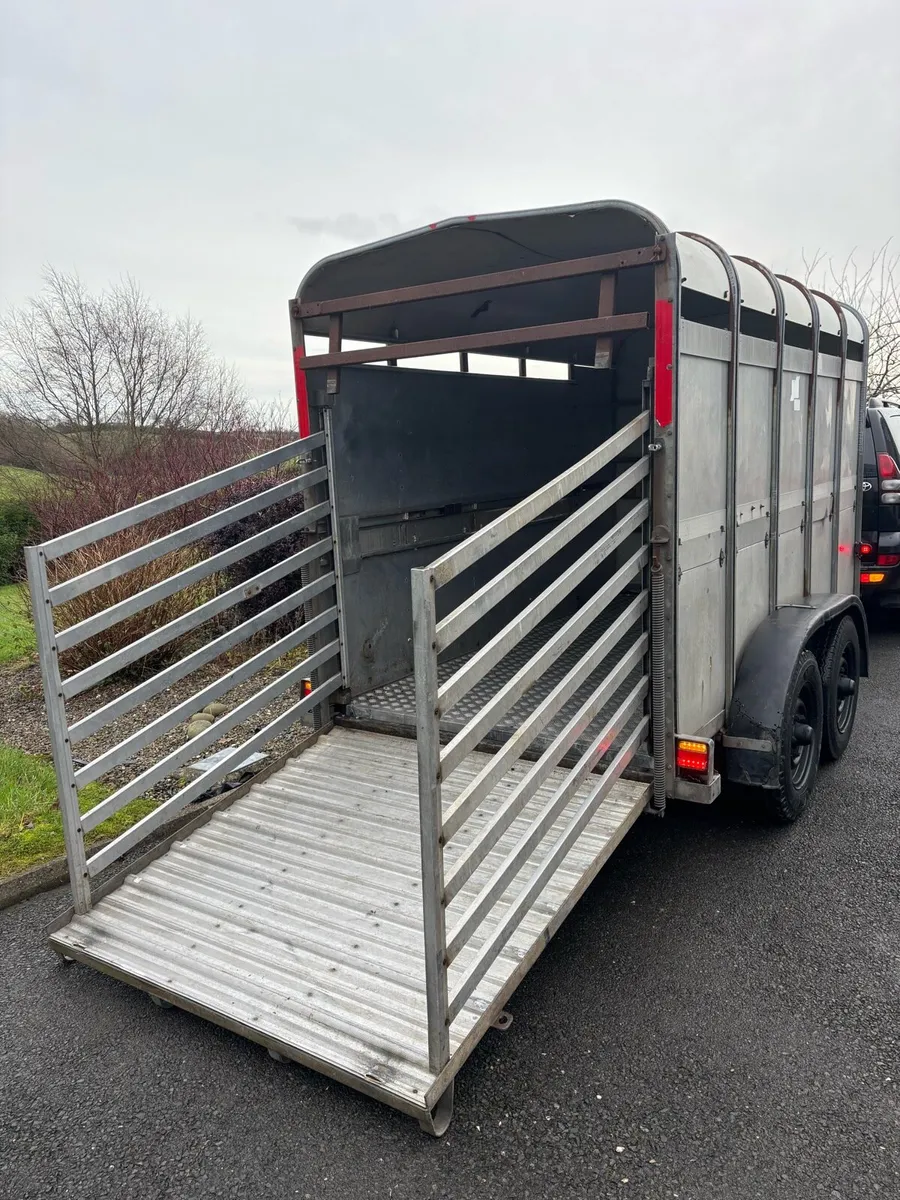 10x5 ifor Williams cattle box - Image 2