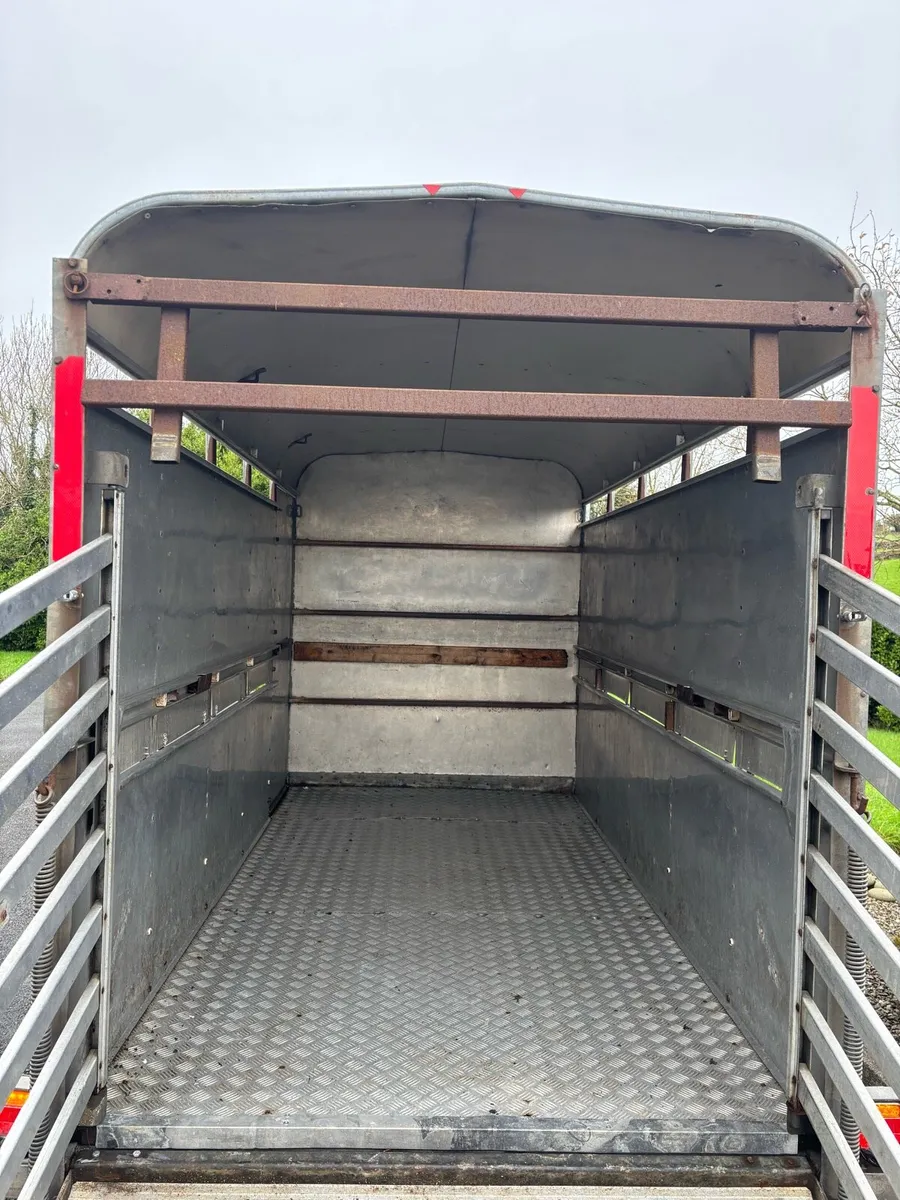 10x5 ifor Williams cattle box - Image 3