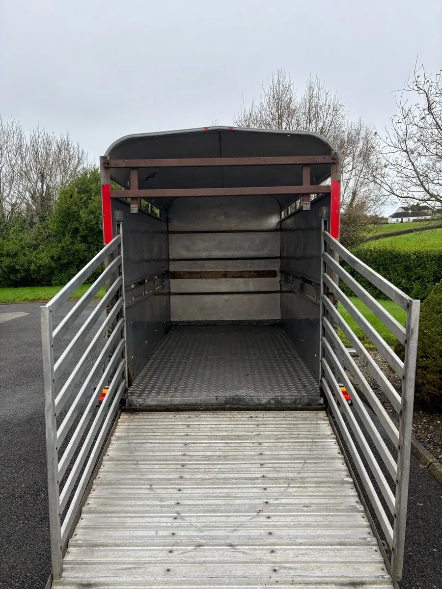 10x5 ifor Williams cattle box - Image 4
