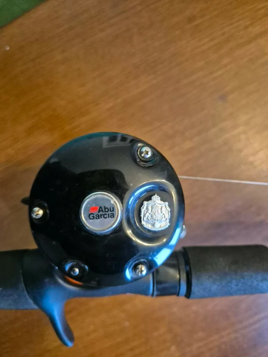 Spinning rod combo - Image 1