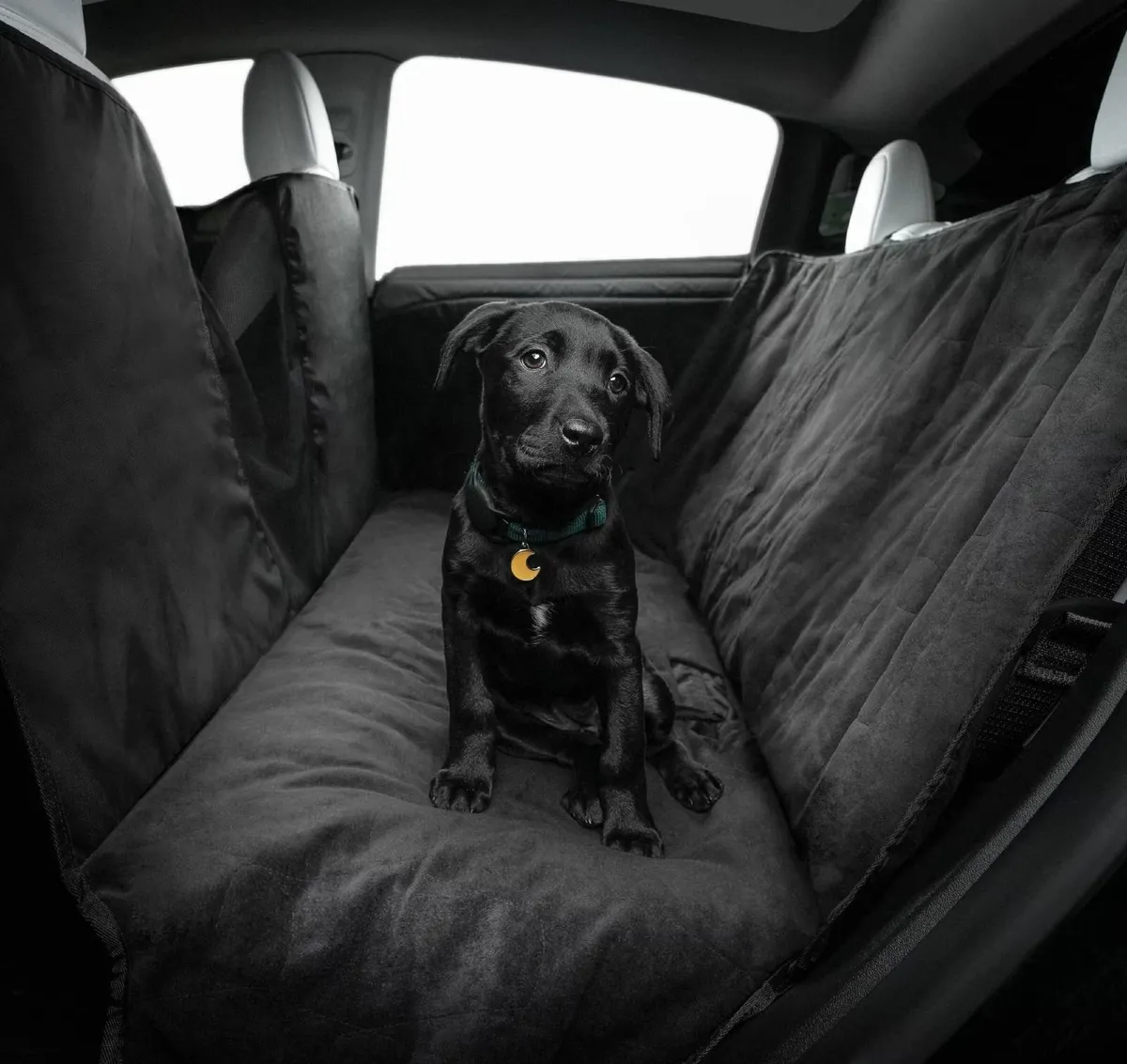 Tesla Model S/3/Y Seat Pet Liner - Image 4