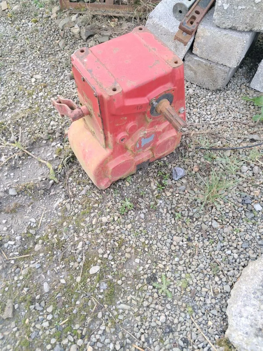 Diet feeder belt - Image 3