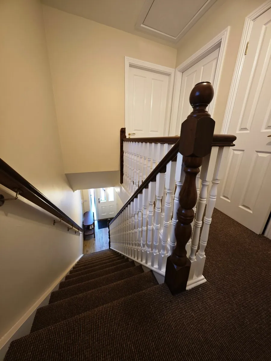 Painter Cork - Image 1