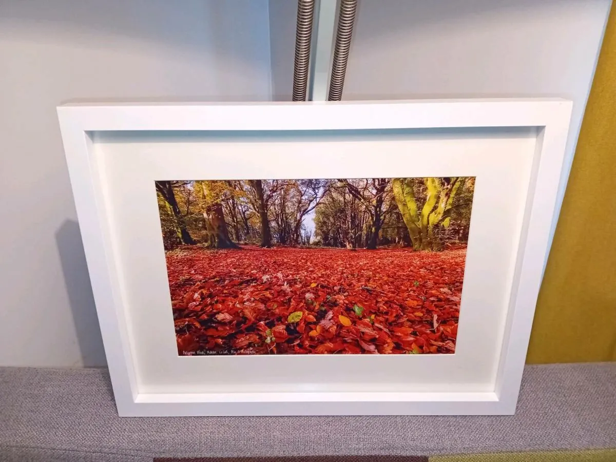 Ballyannon Woods, Midleton - Image 3