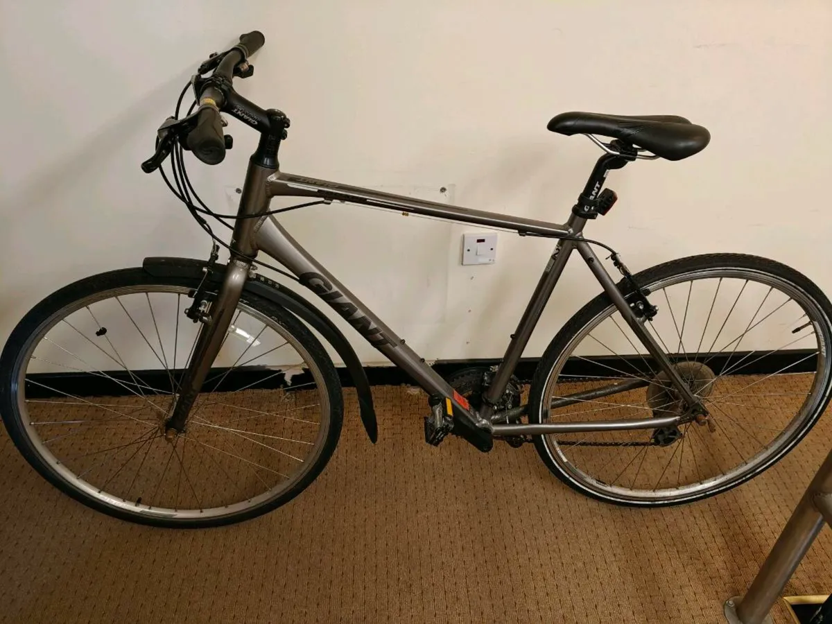 Giant bicycle - Image 1
