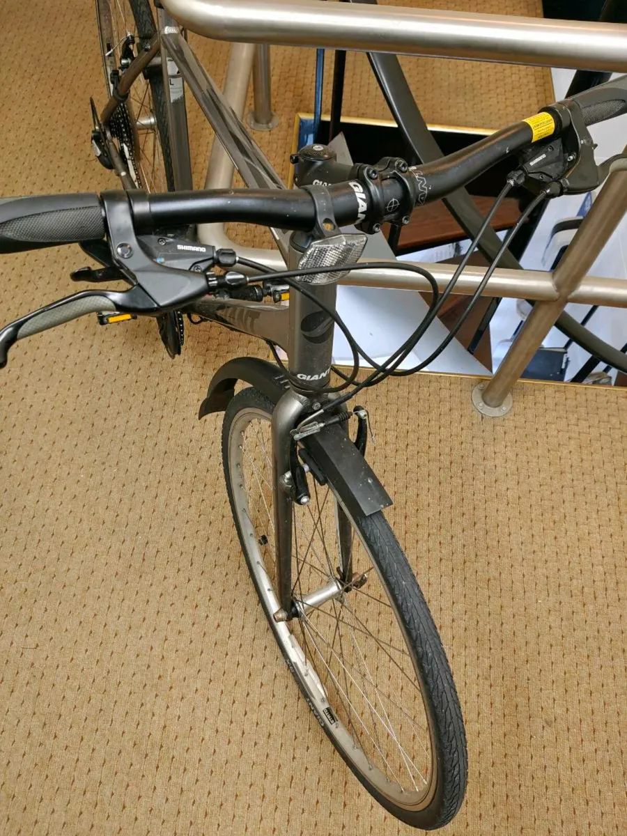 Giant bicycle - Image 2
