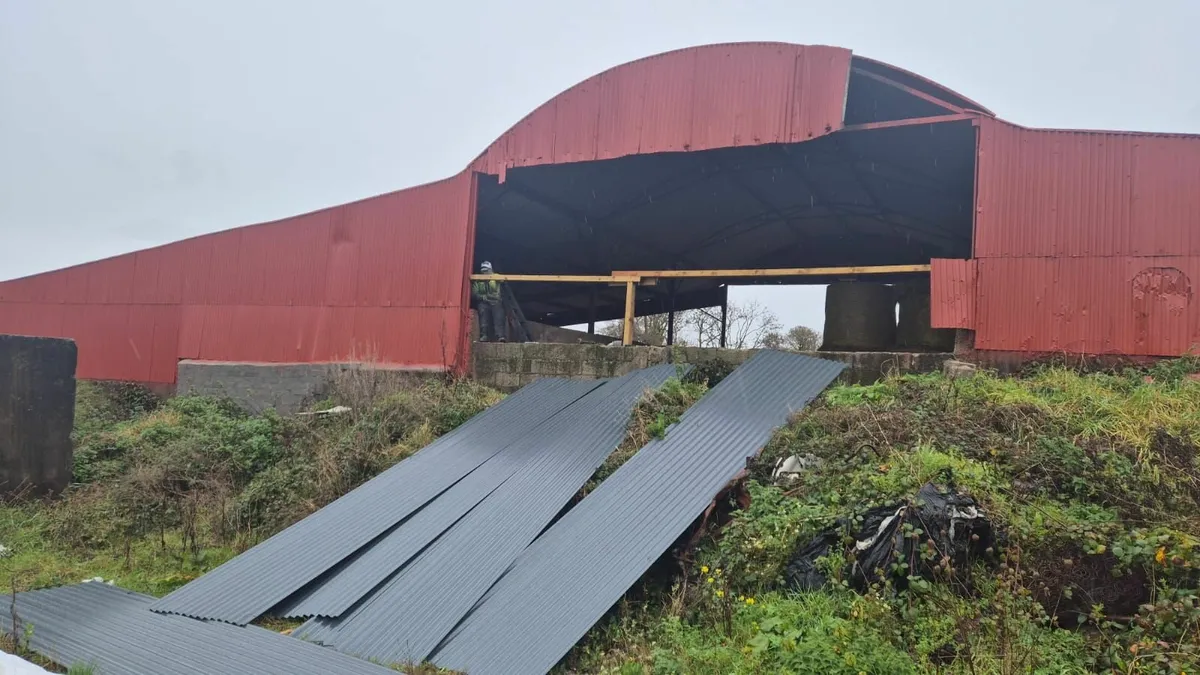 Munster Farm Shed Repairs - Image 2