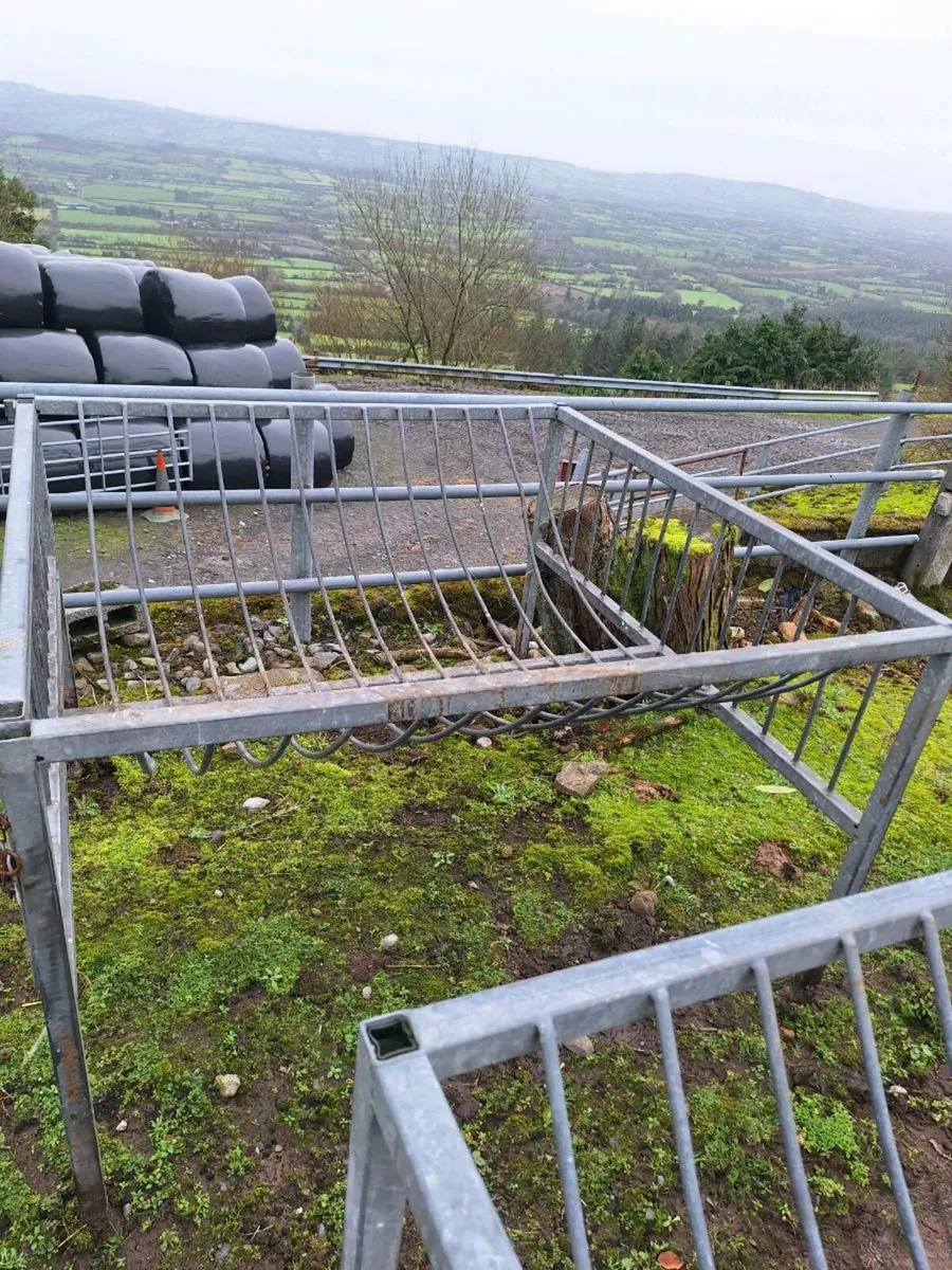 Sheep feeders - Image 4