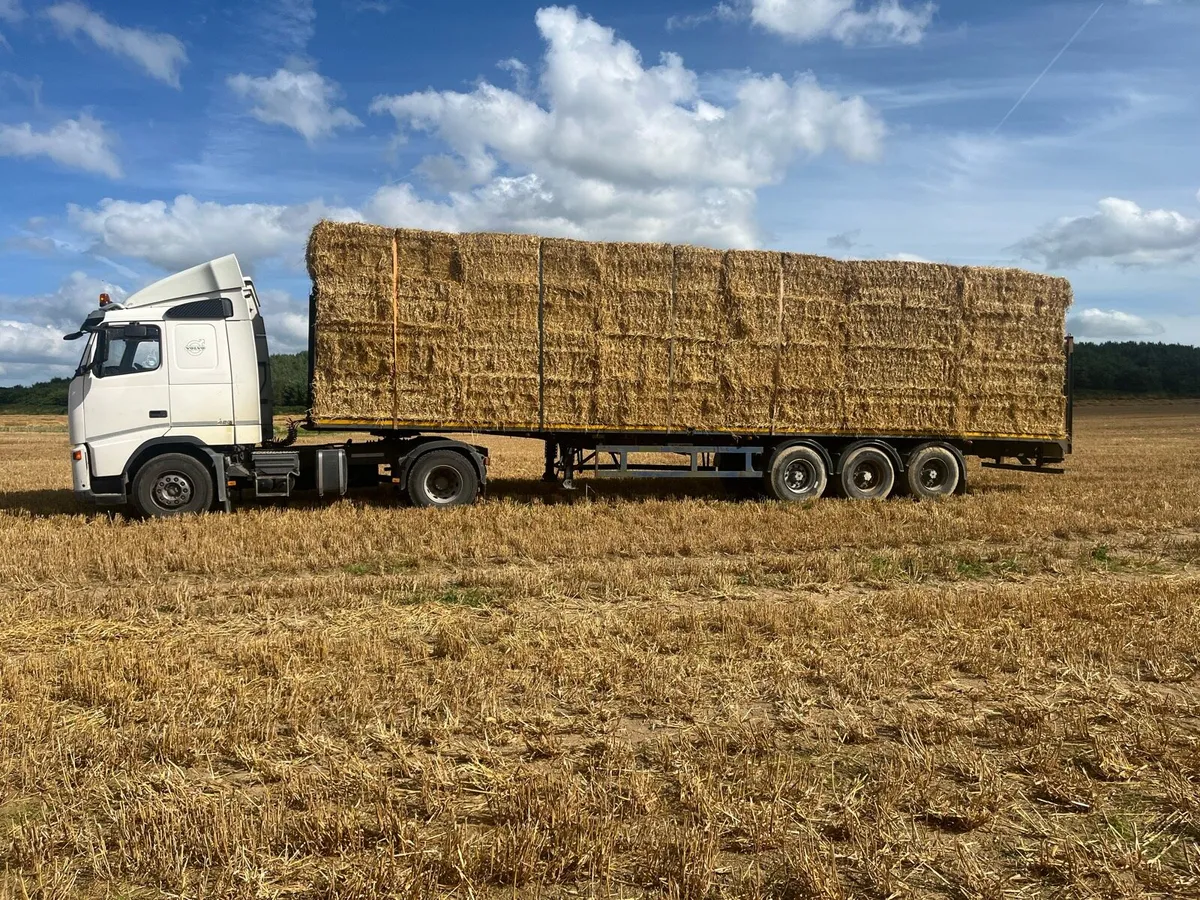 Straw big square - Image 2