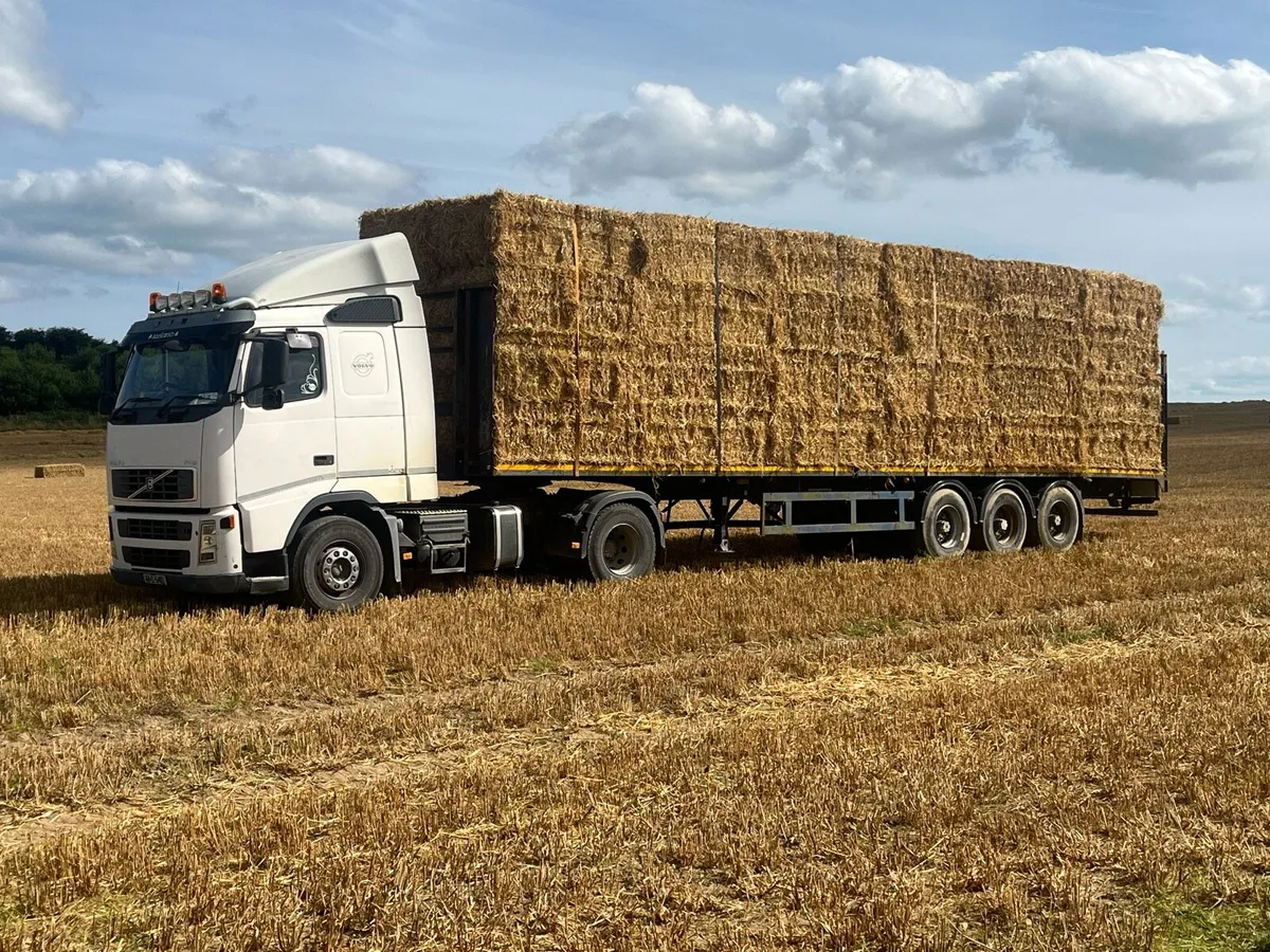 Straw big square - Image 3