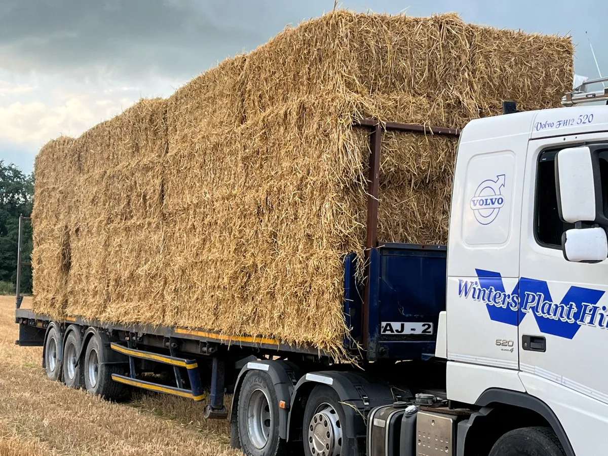 Straw big square - Image 1