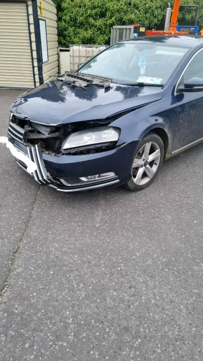 Passat Bluemotion 2L TDI - Image 1