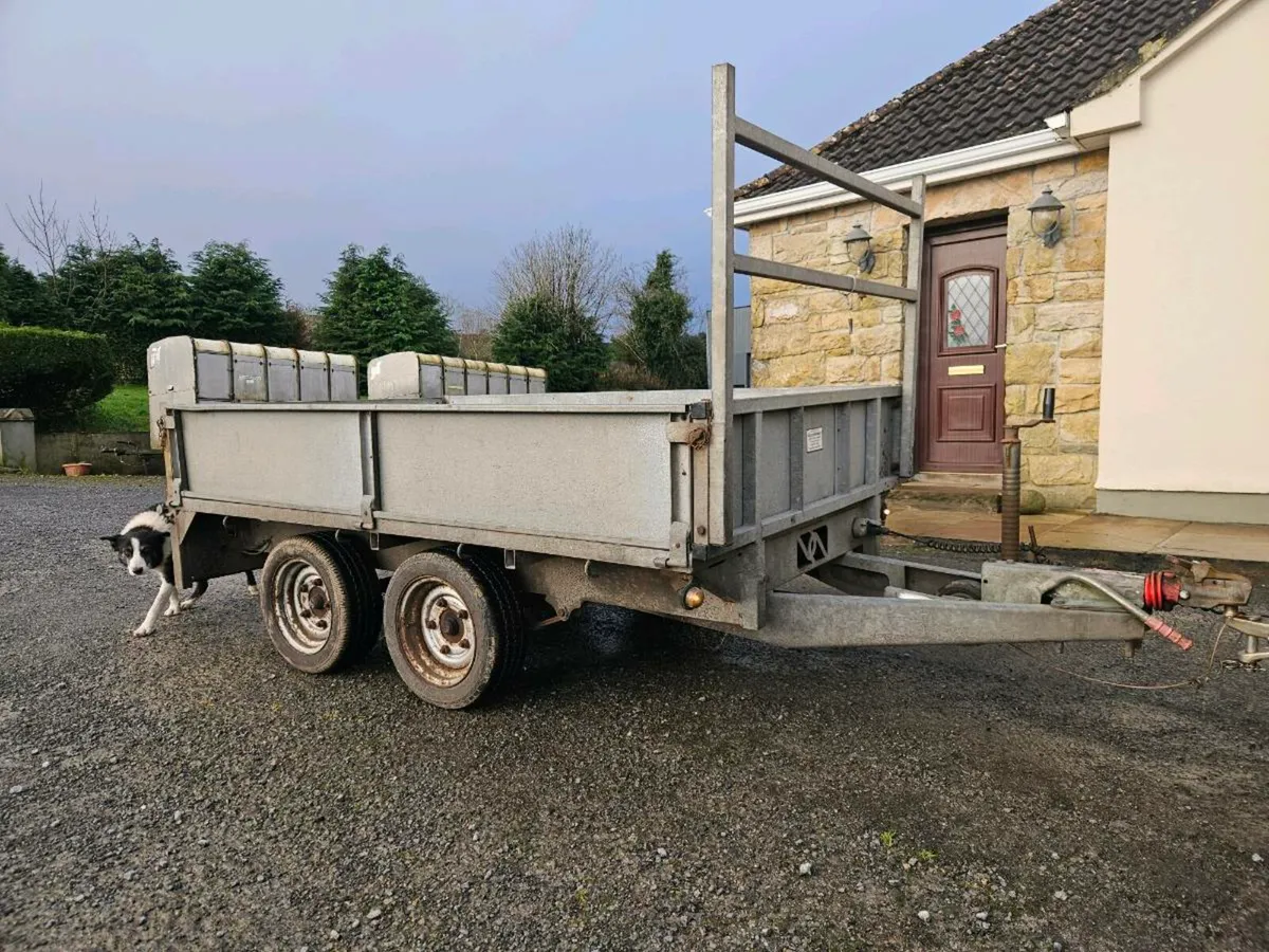 Nugent like ifor williams - Image 1