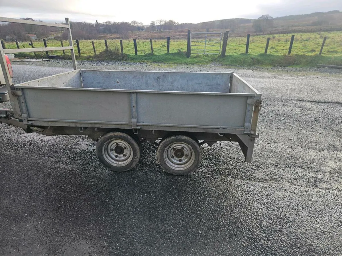 Nugent like ifor williams - Image 2