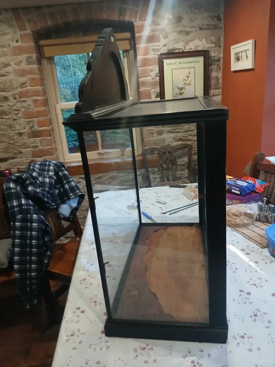 Victorian Frys Cabinet - Image 3