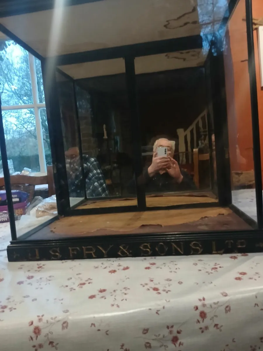 Victorian Frys Cabinet - Image 4