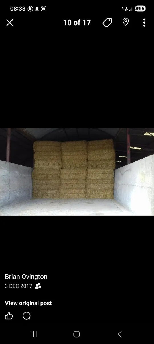 8x4x3 bales of straw - Image 1