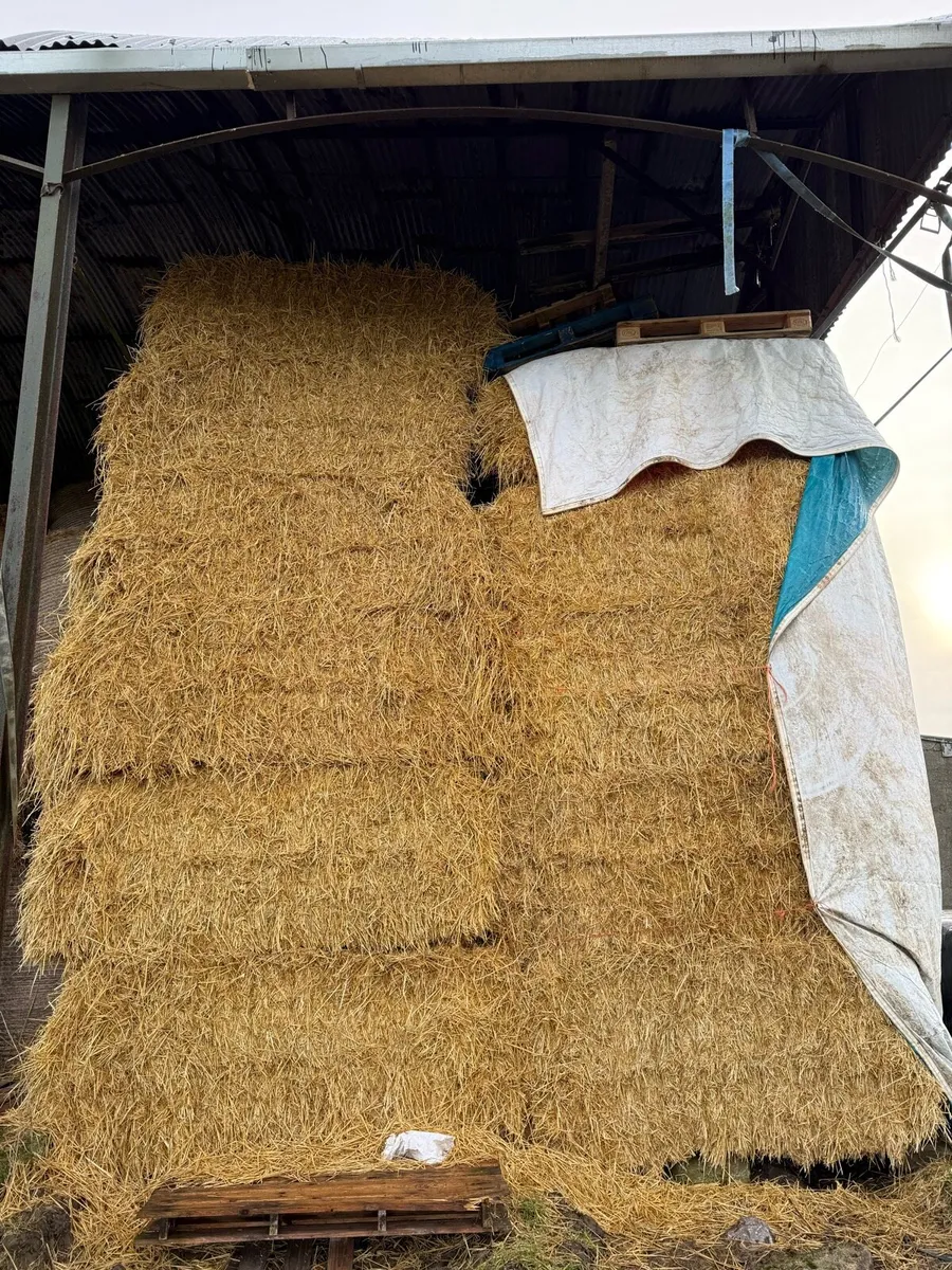 Straw and hay - Image 1
