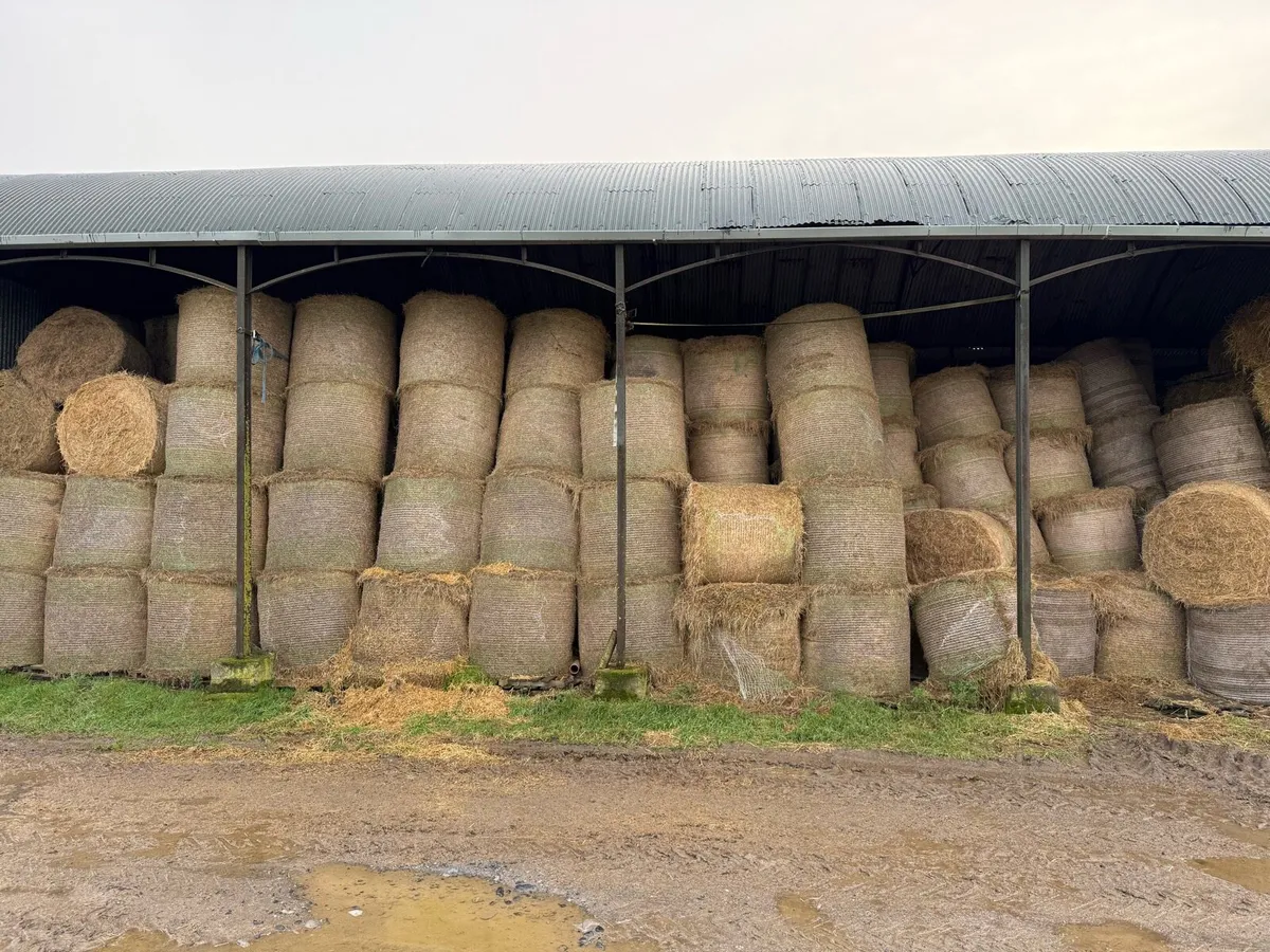 Straw and hay - Image 2