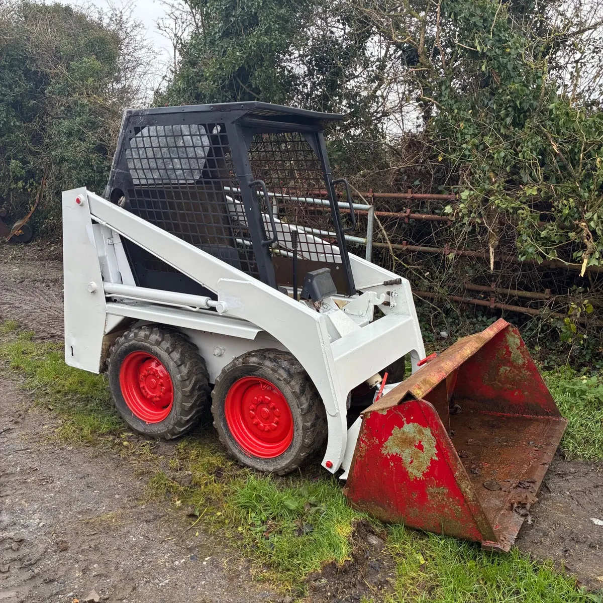 Bobcat skidsteer - Image 3