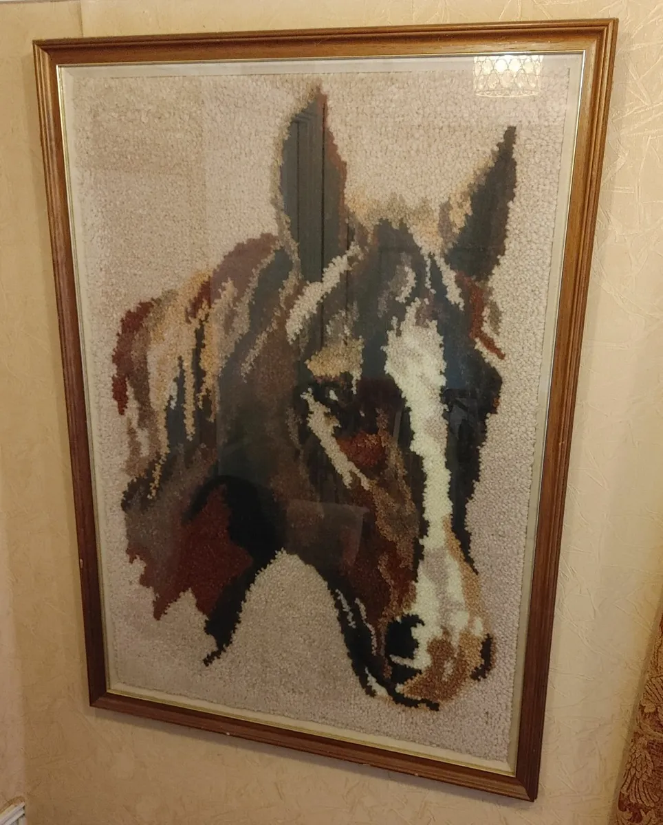horse picture