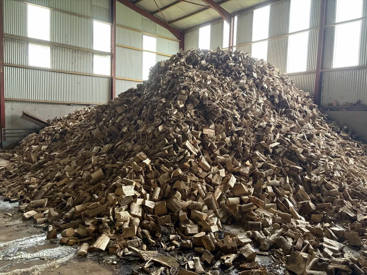 DRIED FIREWOOD - Image 2