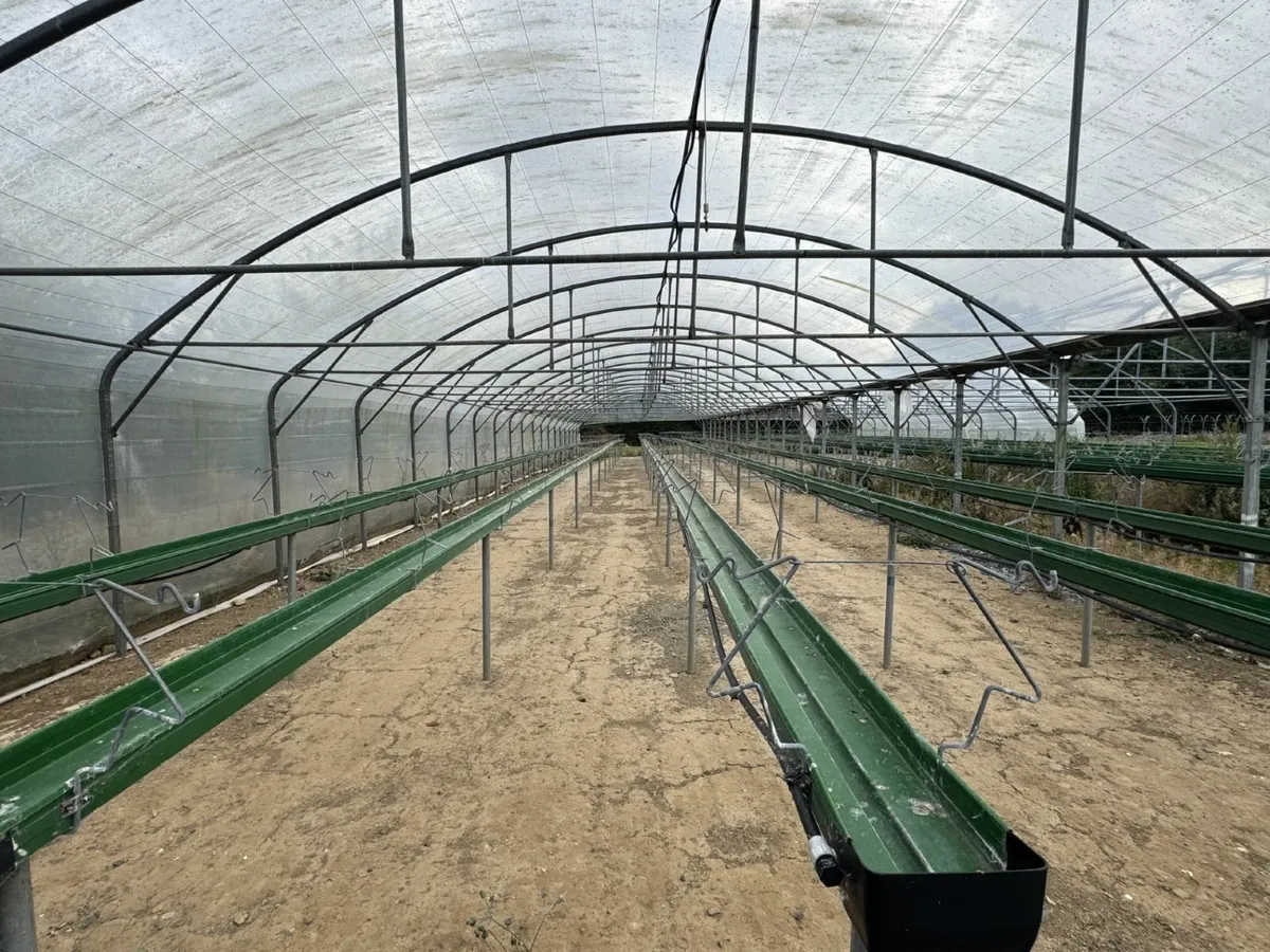 Richel Twin Span Polytunnel - Image 1