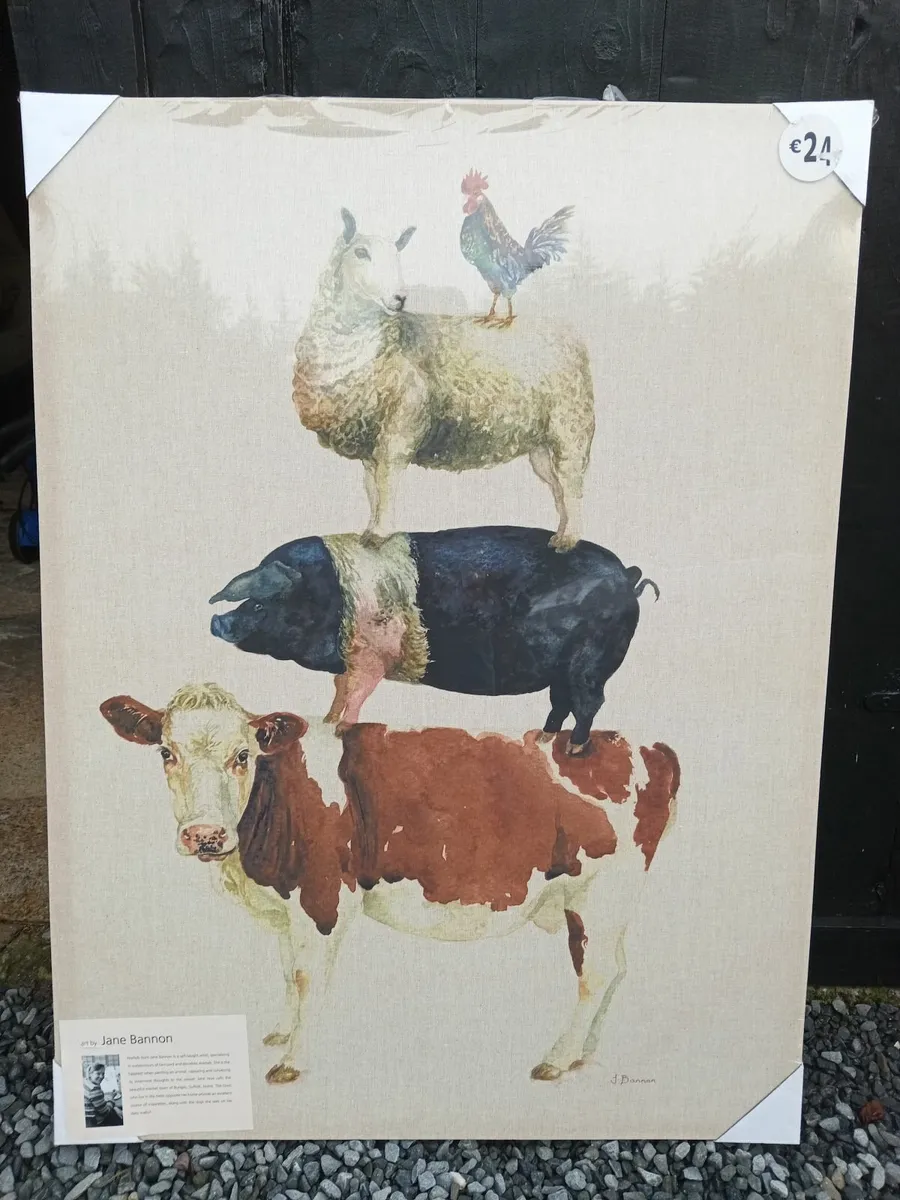 Jane Bannon picture.. - Image 1