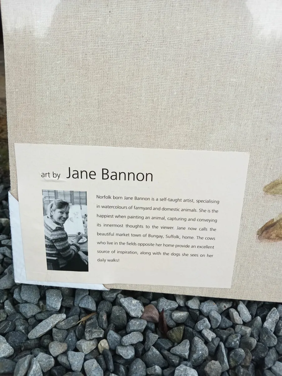Jane Bannon picture.. - Image 2