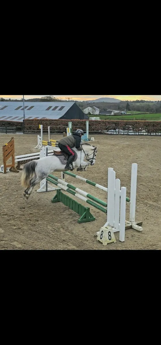 12.2 jumper - Image 1