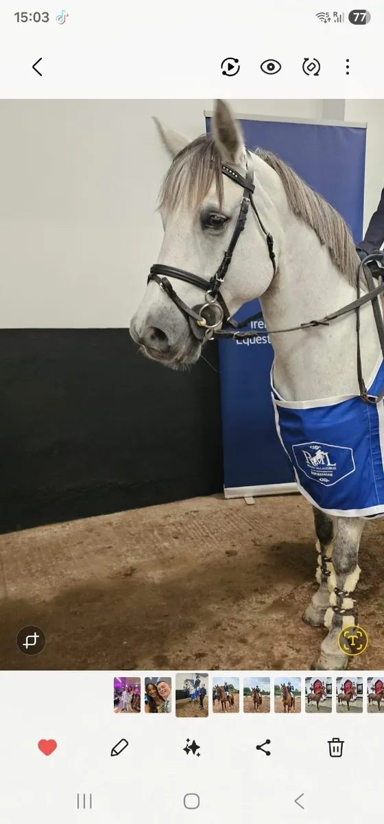 12.2 jumper - Image 3