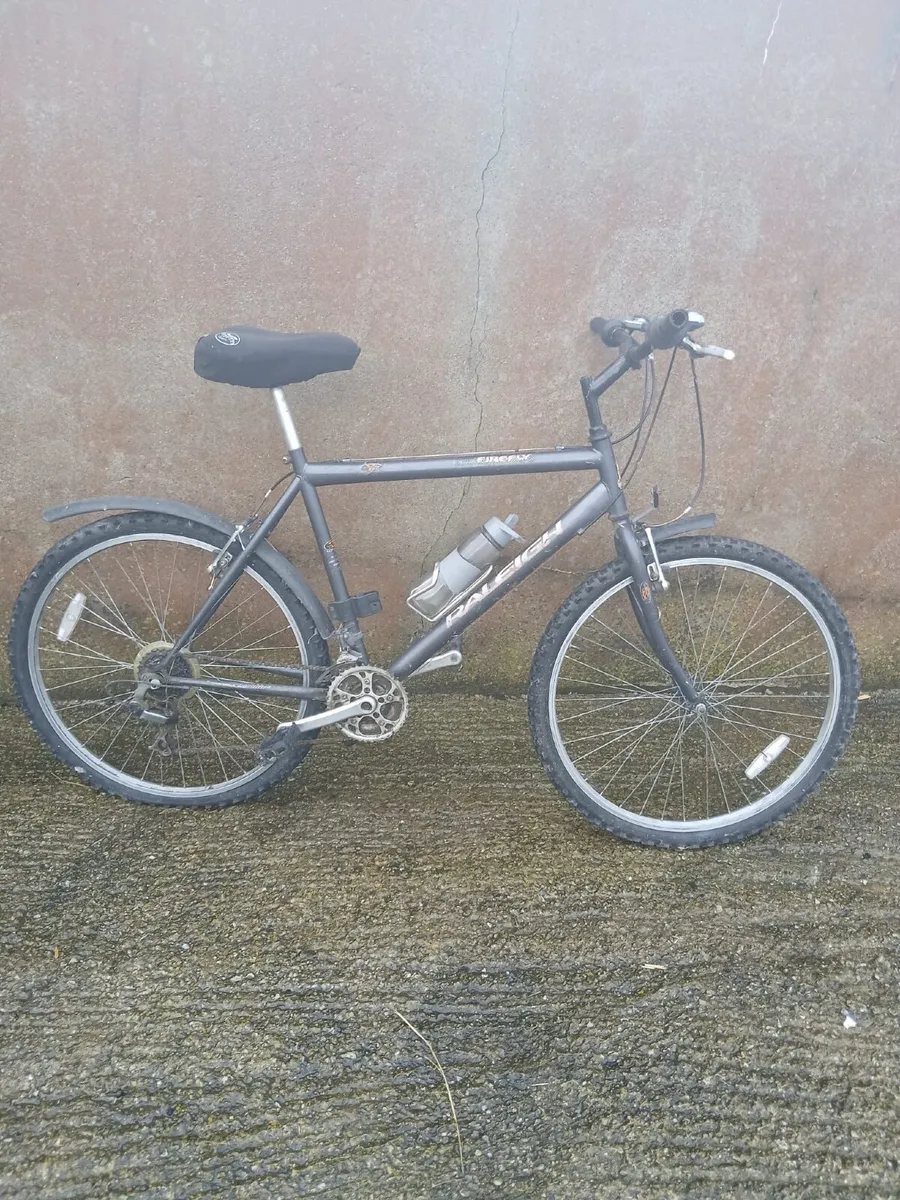 Mountain Bike - : Raleigh Firefly Mountain Bike - Image 1