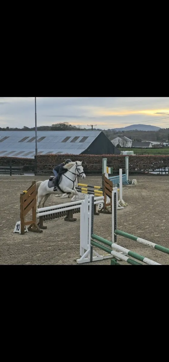 14hh done it all - Image 1