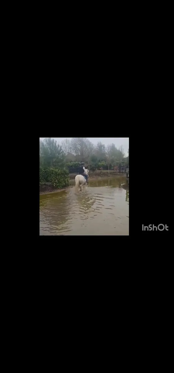 14hh done it all - Image 2