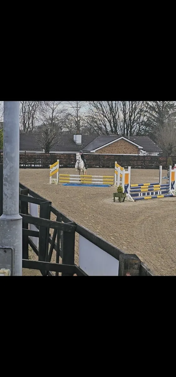 14hh done it all - Image 3