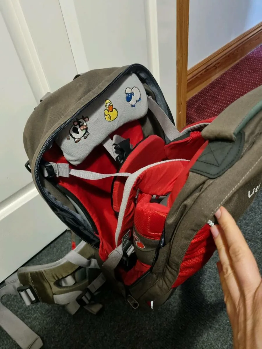 Baby carrier - Image 2