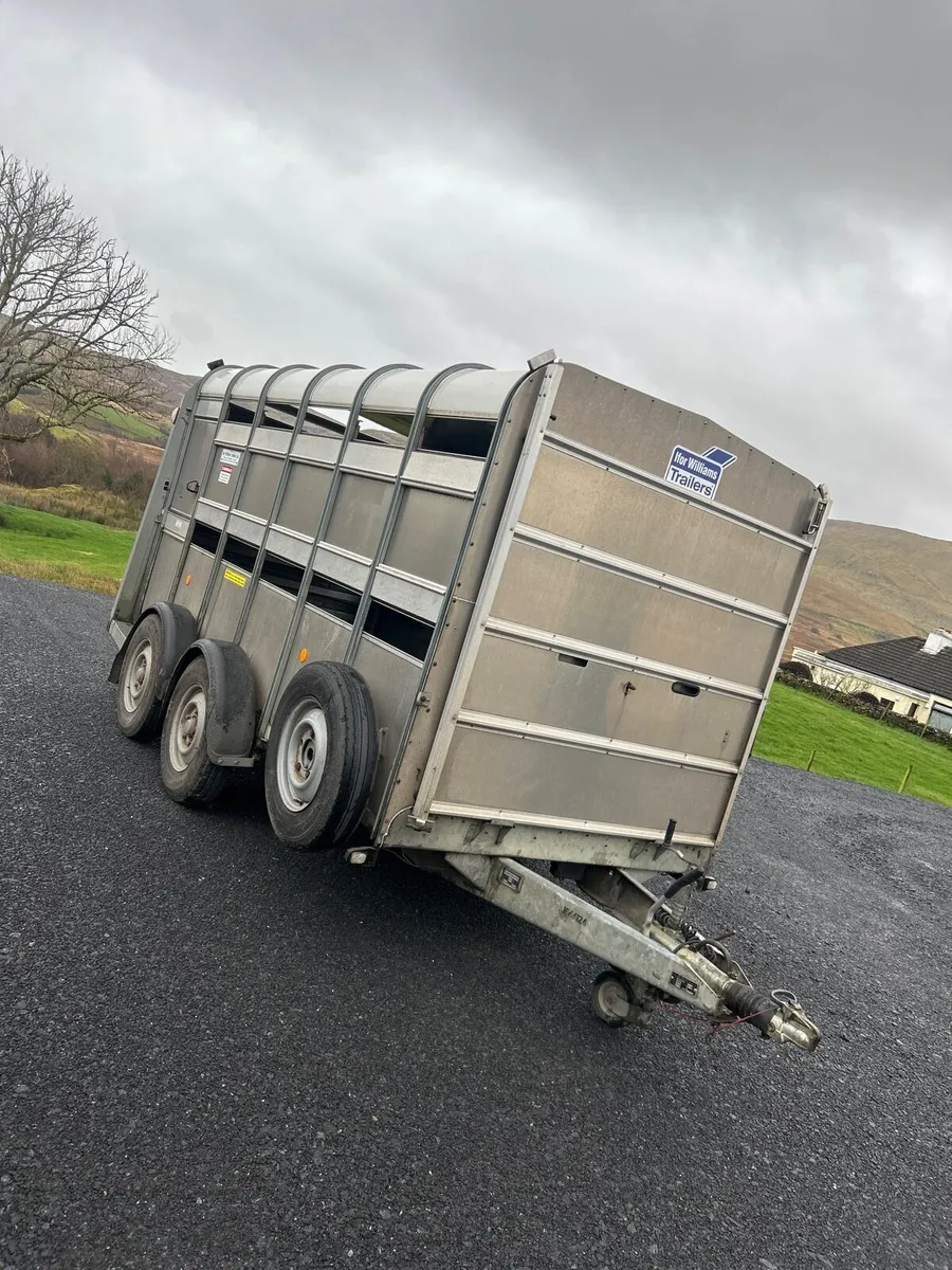 12x5ft10 ifor williams with sheep decks - Image 2