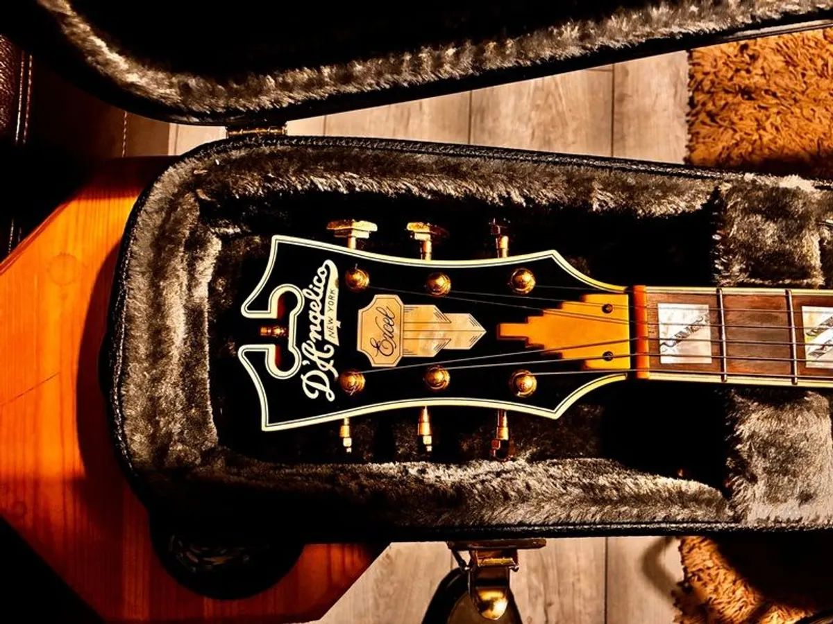 DAngelico Excel DC Viola semi-hollow body - Image 2