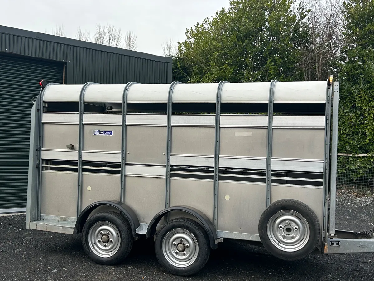 Ifor Williams Ta510  12ft Livestock Trailer - Image 2