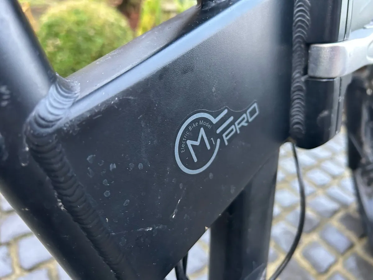 Fiido m pro - Image 2