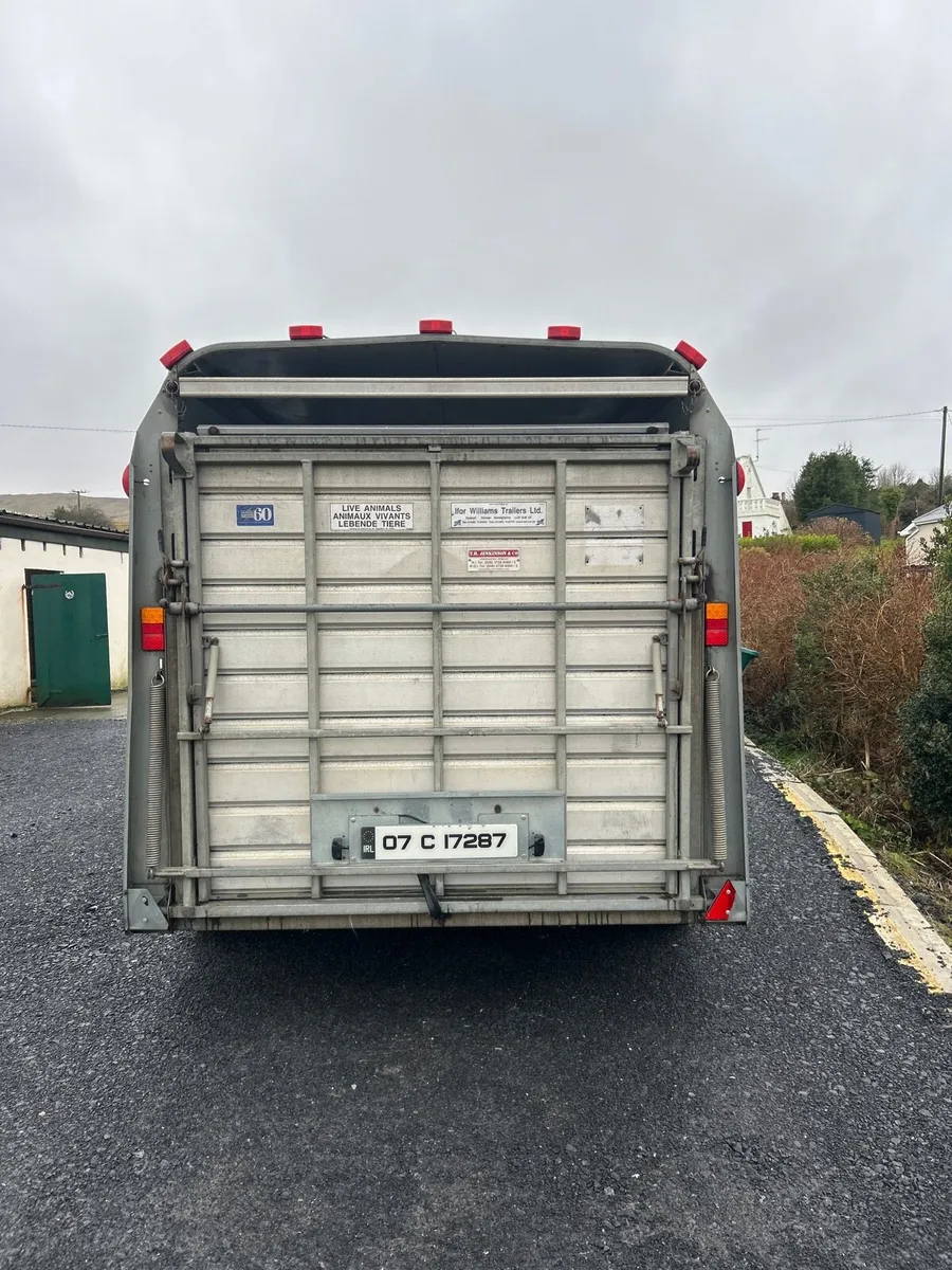 12x5ft10 ifor williams with sheep decks - Image 3